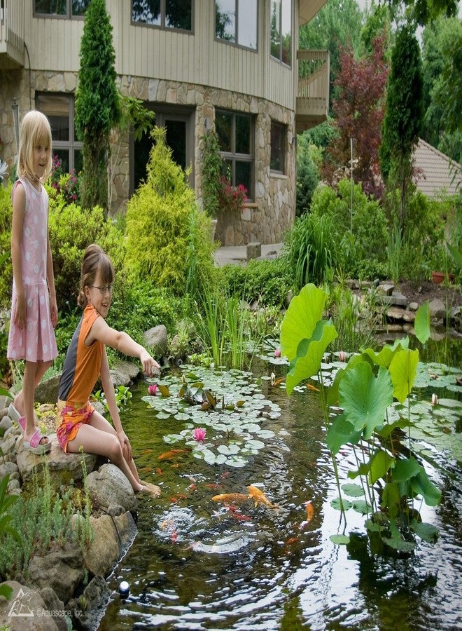 Aquascape Liquid Beneficial Bacteria for Pond and Water Features, 32-Ounce Bottle | 98888 - Image 4